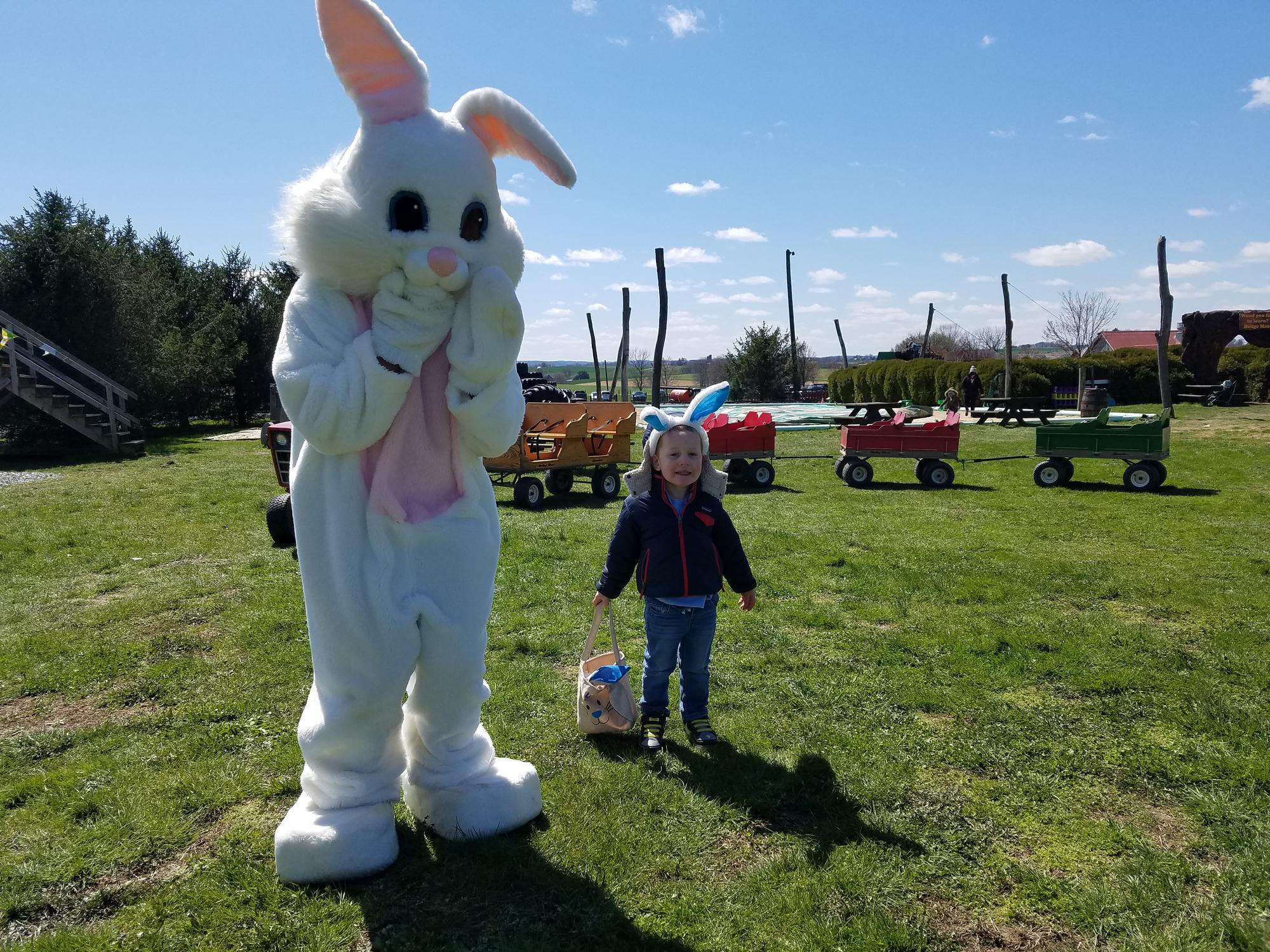 2022 Bunny Village & Egg Hunts Tickets in LANCASTER, PA, United States