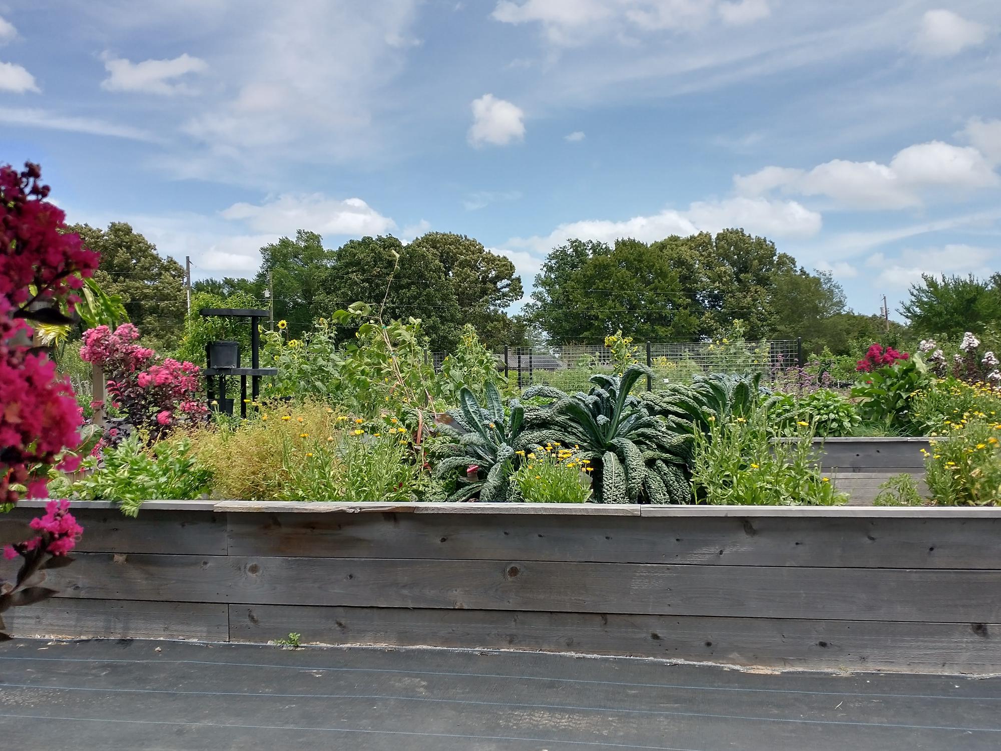 Sorelle Farms Annual Seed Swap 2023 Tickets in Mineola, TX, United States