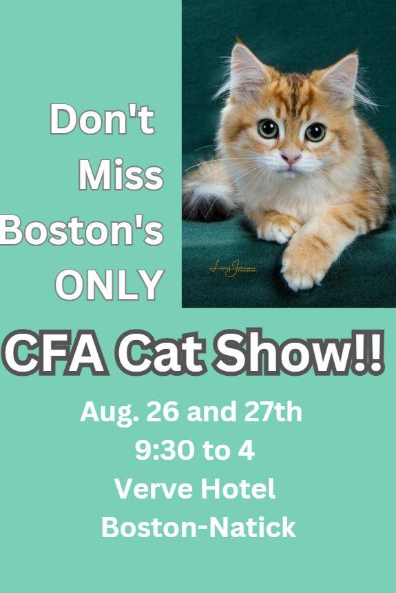 Don't Miss Boston's Only CFA Cat Show the cats are waiting for you