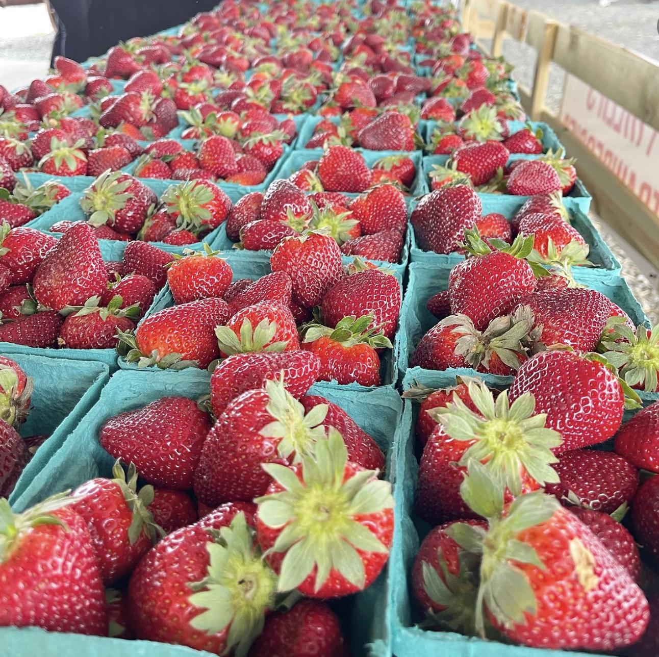 Strawberry Speed Eating Contest Tickets in Cary, NC, United States