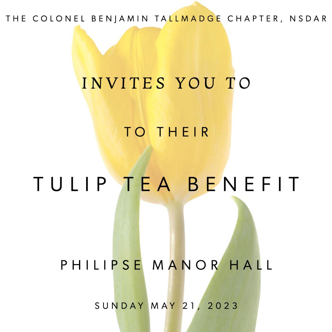 colonel-benjamin-tallmadge-chapter-nsdar-dar-friendship-tea