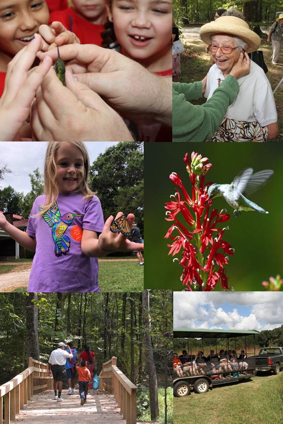 Hummingbird Migration & Nature Festival Tickets in Holly Springs, MS