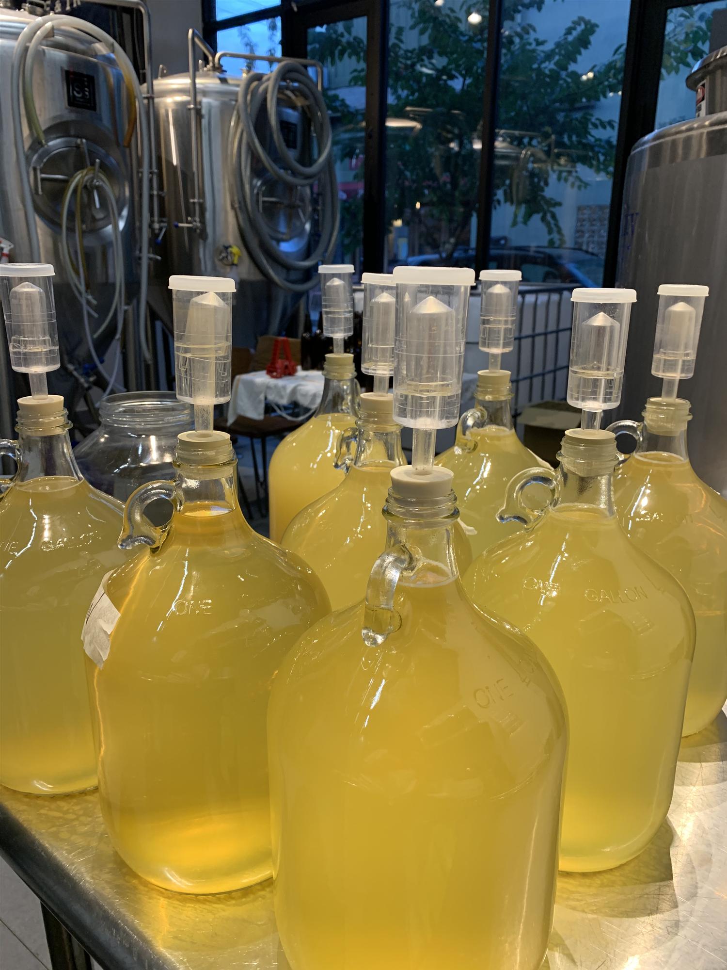 Cider Making Course Spring 2020