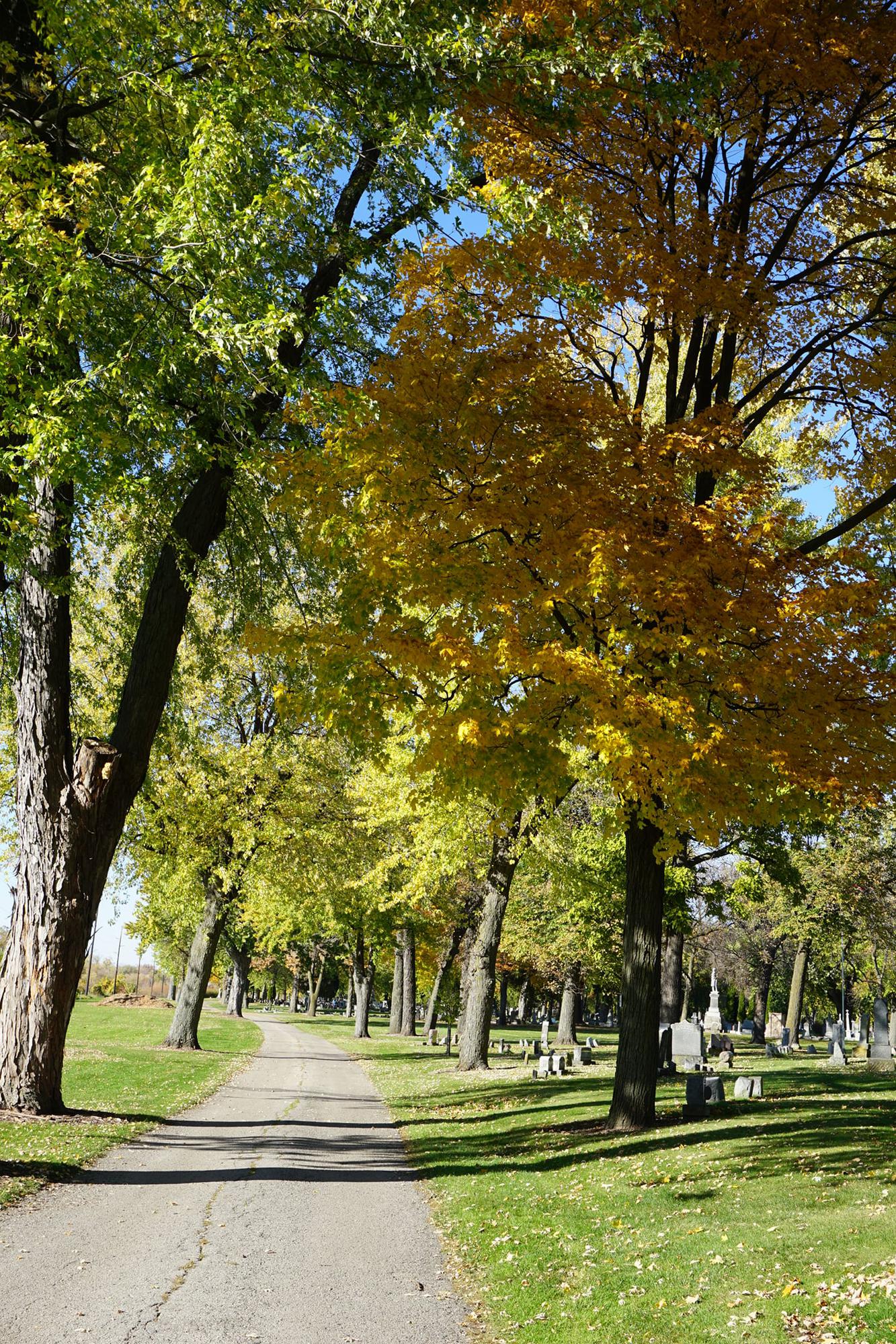Cemetery Confessions Riverside Cemetery Tour Tickets In Oshkosh WI 