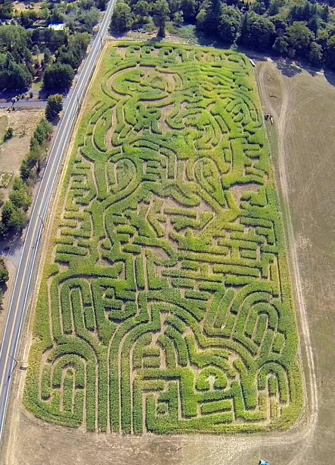 Top 76+ imagen lees farm Thptnganamst.edu.vn