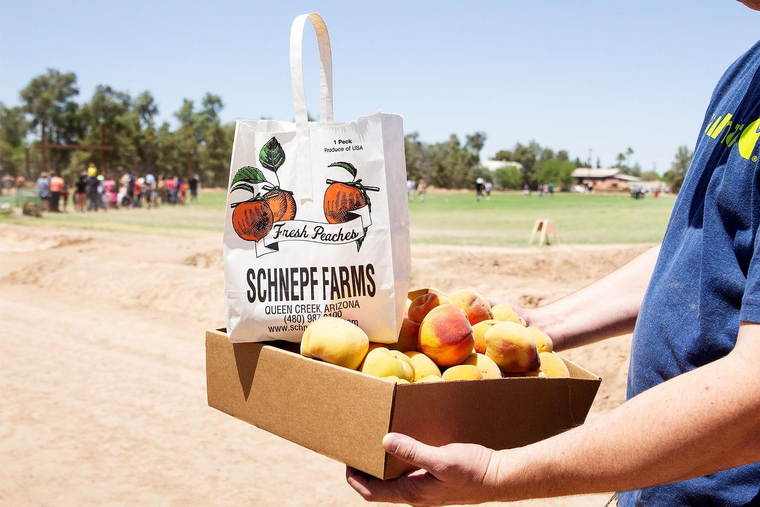 UPICK Peach Reservation 2023 Tickets in Queen Creek, AZ, United States