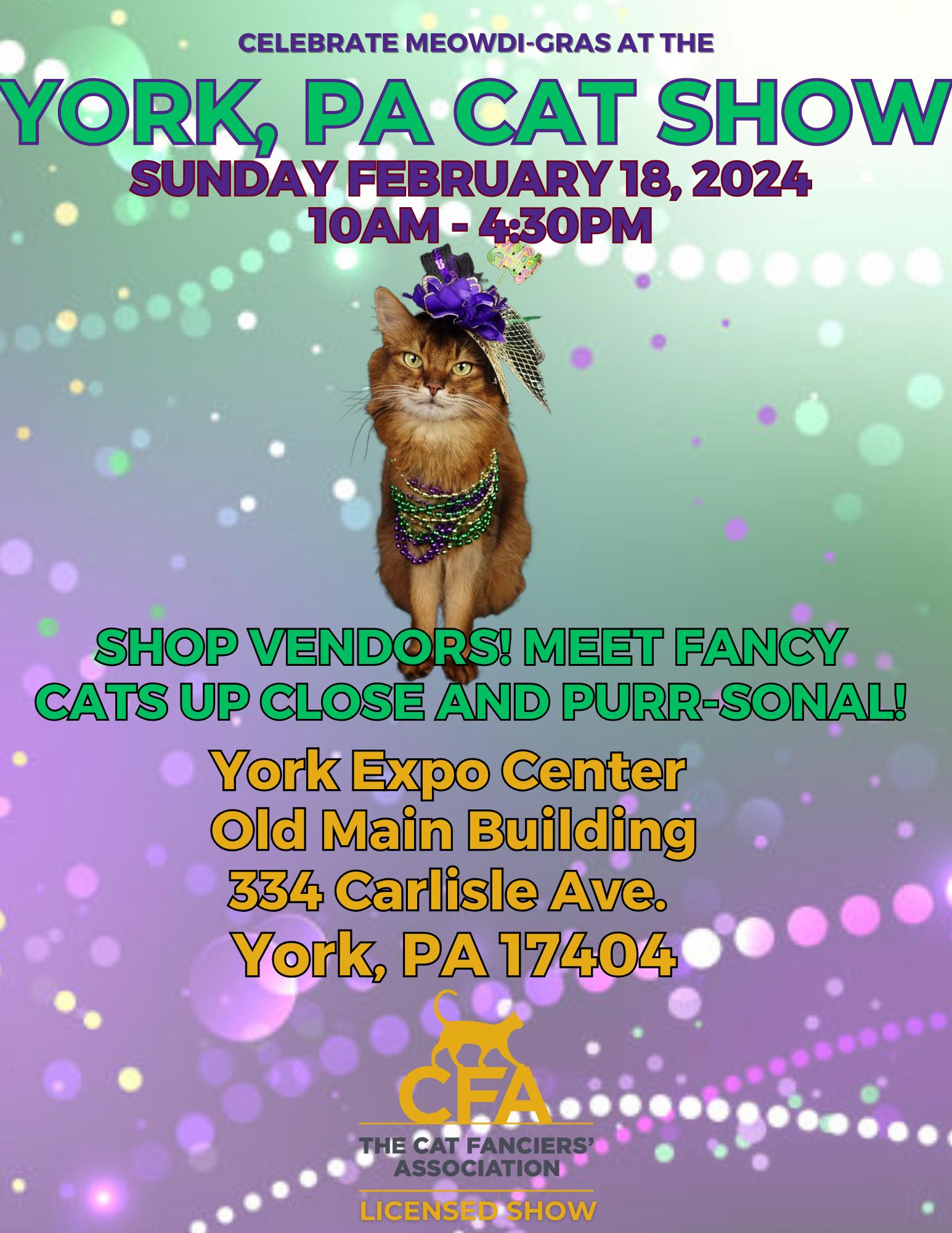 Celebrate MeowdiGras at the York, PA CFA Cat Show Tickets in York, PA